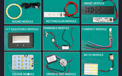 module(1)